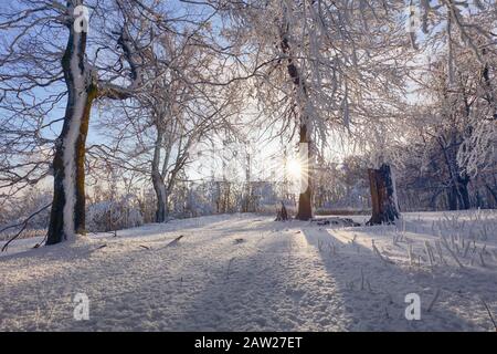 Incantevole paesaggio invernale in montagna. Sunrise Foto Stock