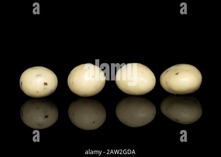 Gruppo di quattro stracciatella di mandorle bianche rivestite intere, isolata su vetro nero Foto Stock