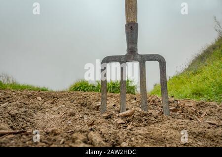 Forchetta forgiata in terreno fertile, nebbia dietro. Foto Stock