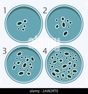 fase di crescita dei batteri vettoriali. batterio in capsule di petri isolato su fondo bianco. Illustrazione Vettoriale