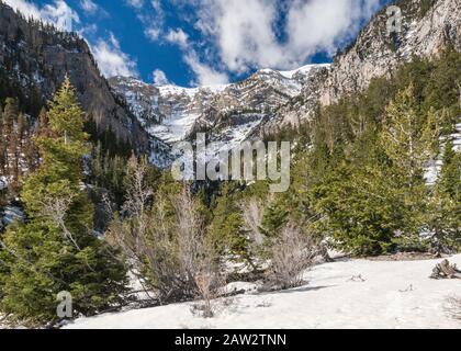 Charleston Peak massiccio, in lontananza, vista in aprile da Mary Jane Falls Trail, Spring Mountains National Recreation Area, Nevada, USA Foto Stock