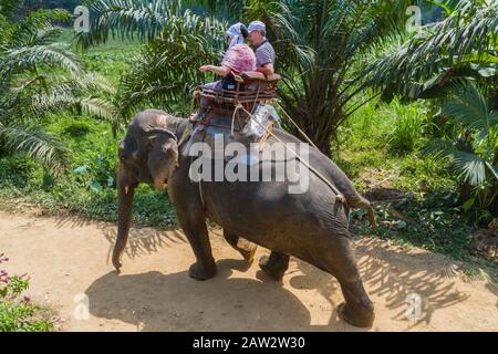 Città Di Bangkok, Tailandia. La gente nella giungla ride sulla schiena dell'elefante.01.03.2016 Foto Stock