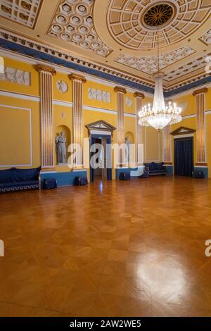 La Gala Hall, Il Palazzo Di Amalienborg, Copenhagen, Danimarca Foto Stock