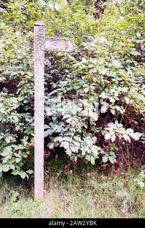 Un vecchio segno che mostra gli escursionisti dove il percorso riconosciuto è. Foto Stock