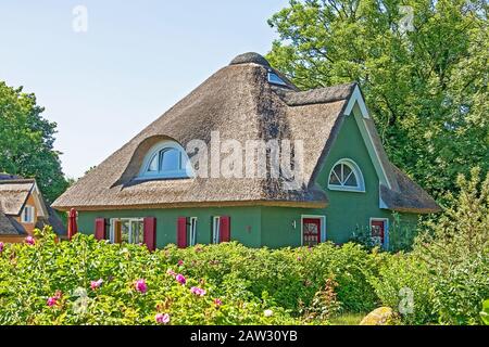 casa vacanze verde con giardino verde Foto Stock