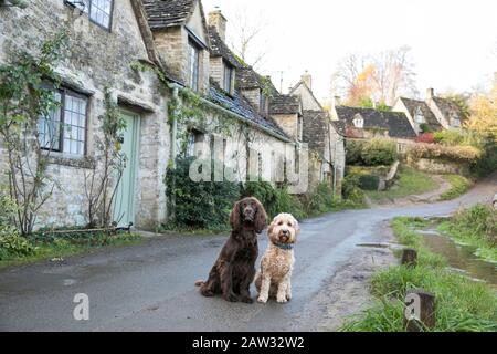 I cani sedevano nella fila di Arlington a Bibury, Cotswolds Foto Stock