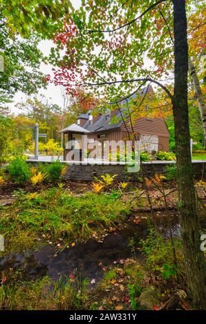 Wild Gardens Of Acadia Nel Sieur De Monts Nature Center Area Nel Parco Nazionale Di Acadia, Mount Desert Island, Maine Foto Stock