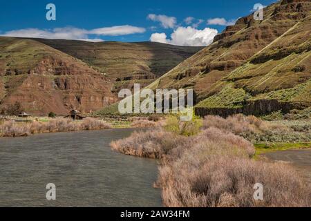 John Day River al Cottonwood Canyon state Park aka JS Burres state Park, altopiano di Umatilla, parte del Columbia Plateau, a est di Moro, Oregon, Stati Uniti Foto Stock