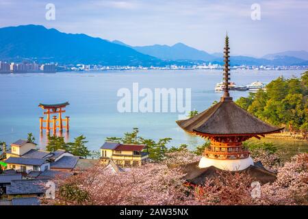 Isola di Miyajima, Hiroshima, Giappone in primavera al tramonto. Foto Stock