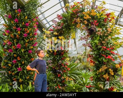 Londra, Regno Unito. 6th Feb, 2020. Il primo festival di orchidee dei Kew Gardens, a tema nel paese dell'Indonesia, presso il Conservatorio Princess of Wales. Credito: Guy Bell/Alamy Live News Foto Stock