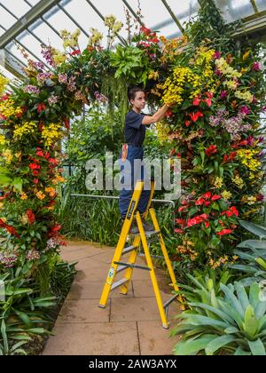 Londra, Regno Unito. 6th Feb, 2020. Il primo festival di orchidee dei Kew Gardens, a tema nel paese dell'Indonesia, presso il Conservatorio Princess of Wales. Credito: Guy Bell/Alamy Live News Foto Stock