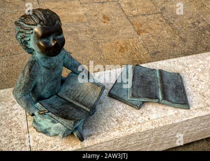 La bambina che legge un libro Foto Stock