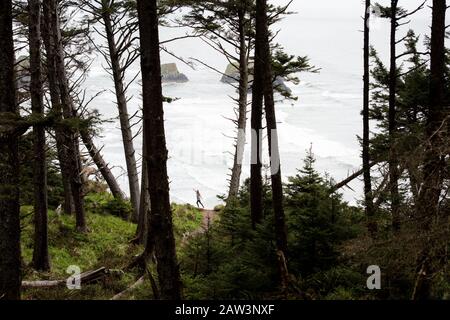 Un viaggiatore da solo vi offre una vista panoramica della costa Foto Stock