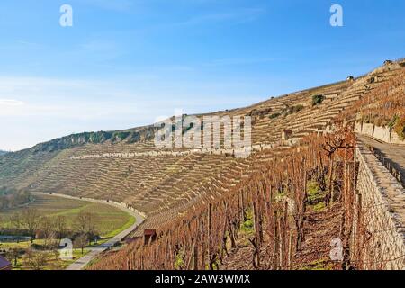 Vista sui vigneti (Hessigeimer Felsengaerten) Foto Stock