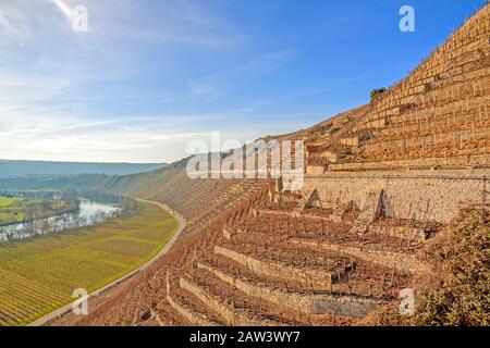 Vista sui vigneti (Hessigeimer Felsengaerten) Foto Stock