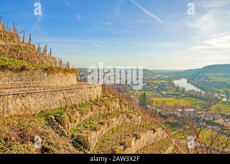 Vista sui vigneti (Hessigeimer Felsengaerten) Foto Stock