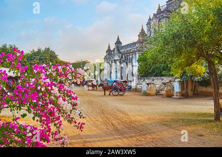 La zona di fronte all'antica Thatbyinnyu (Omniscient) Phaya è occupata da carri trainati da cavalli e circondata da alberi verdi e bougainville in fiore Foto Stock