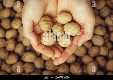 Persona che tiene le noci nelle sue mani. Primo piano. Foto Stock