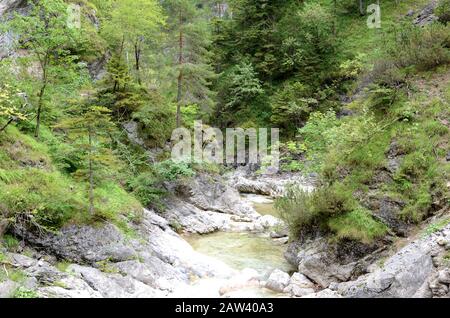 Il Ötschergräben è un canyon spectecolare vicino al Monte Ötscher, Nella Bassa Austria Foto Stock