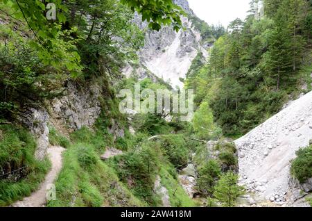 Il Ötschergräben è un canyon spectecolare vicino al Monte Ötscher, Nella Bassa Austria Foto Stock