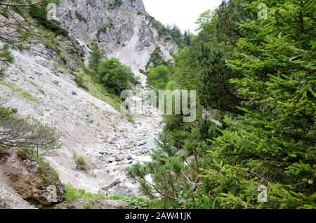 Il Ötschergräben è un canyon spectecolare vicino al Monte Ötscher, Nella Bassa Austria Foto Stock