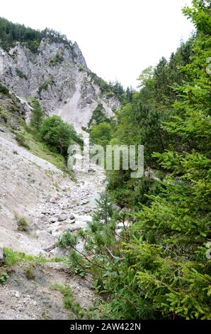 Il Ötschergräben è un canyon spectecolare vicino al Monte Ötscher, Nella Bassa Austria Foto Stock