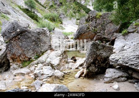 Il Ötschergräben è un canyon spectecolare vicino al Monte Ötscher, Nella Bassa Austria Foto Stock