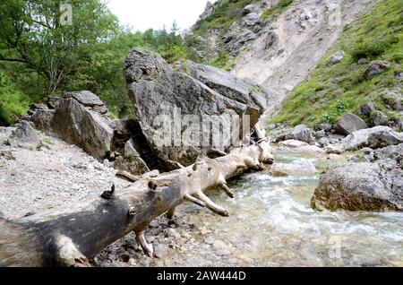 Il Ötschergräben è un canyon spectecolare vicino al Monte Ötscher, Nella Bassa Austria Foto Stock