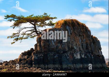 Rocce intermaree nella baia di Siletz a Lincoln City, sulla costa dell'Oregon Foto Stock