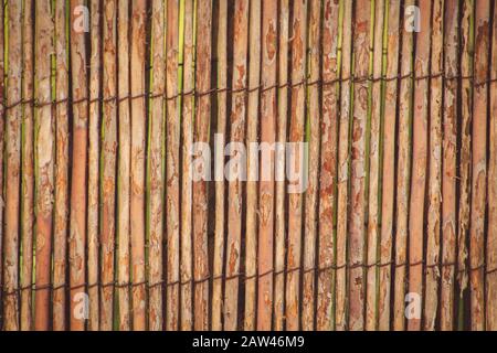 Recinto di bambù fatto a mano usato in giardino a Mallorca, Spagna Foto Stock