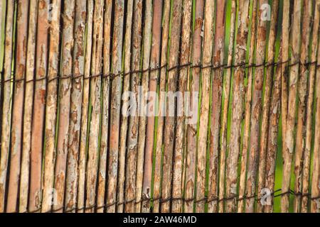 Recinto di bambù fatto a mano usato in giardino a Mallorca, Spagna Foto Stock