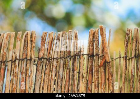 Recinto di bambù fatto a mano usato in giardino a Mallorca, Spagna Foto Stock