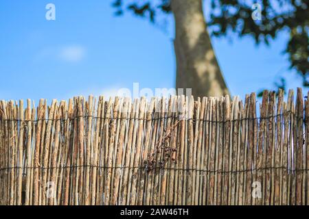 Recinto di bambù fatto a mano usato in giardino a Mallorca, Spagna Foto Stock