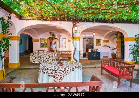 Jerez, SPAGNA - 20 SETTEMBRE 2019: Il cortile d'epoca di Bodegas Tradicion con viti sparse, che fornisce l'ombra e i tavoli per la degustazione Foto Stock
