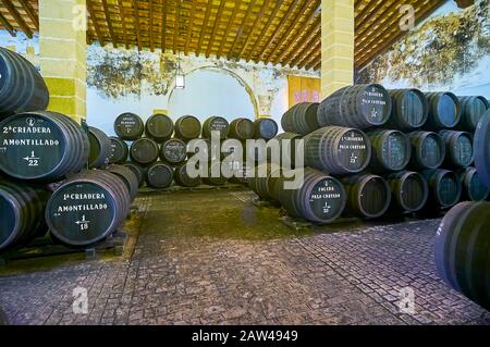 Jerez, SPAGNA - 20 SETTEMBRE 2019: Visita la cantina Bodegas Tradicion ed esplora l'invecchiamento e lo stoccaggio del vino Sherry in botti di rovere vintage, il 20 settembre Foto Stock