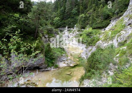 Il Ötschergräben è un canyon spectecolare vicino al Monte Ötscher, Nella Bassa Austria Foto Stock