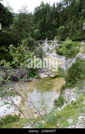 Il Ötschergräben è un canyon spectecolare vicino al Monte Ötscher, Nella Bassa Austria Foto Stock