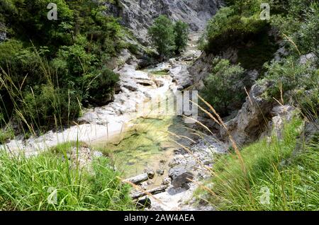 Il Ötschergräben è un canyon spectecolare vicino al Monte Ötscher, Nella Bassa Austria Foto Stock