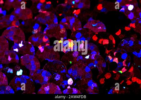 Forme astratte e colori brillanti con luci blu e rosse Foto Stock