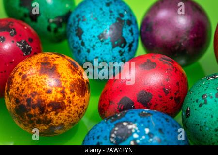 Uova dipinte di colori diversi su sfondo verde, decorazione di Pasqua Foto Stock