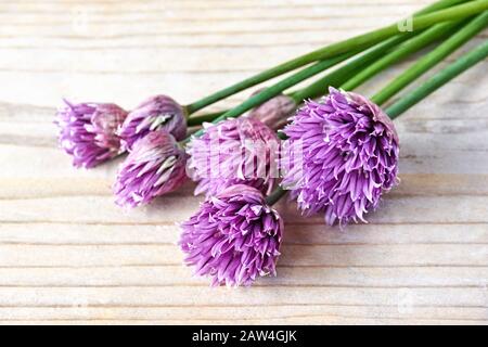 Erba cipollina verde o allio in fiore con fiori viola viola e steli verdi su un tavolo di legno, erba cipollina è un'erba commestibile per l'uso in cucina. Foto Stock