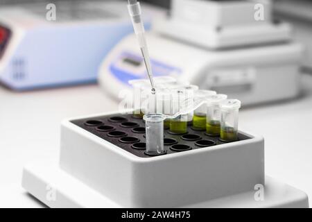 La sostanza verde nel microtubo viene posta nel termoagitatore. Esperimento del DNA in laboratorio biochimico Foto Stock