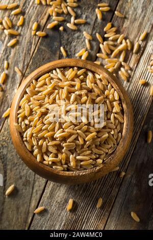 Grano Di Khorasan Organico Marrone Secco In Una Ciotola Foto Stock