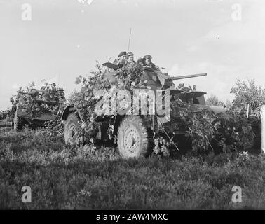 Manovre militari nel Veluwe. Armored (Red) Data: 2 Agosto 1949 Luogo: Gelderland, Veluwe Parole Chiave: Manovre Militari, Veicoli Armored Foto Stock