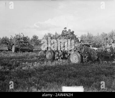 Manovre Militari Nel Veluwe Armored Data: 2 Agosto 1949 Luogo: Gelderland, Veluwe Parole Chiave: Manovre Militari, Veicoli Armored Foto Stock