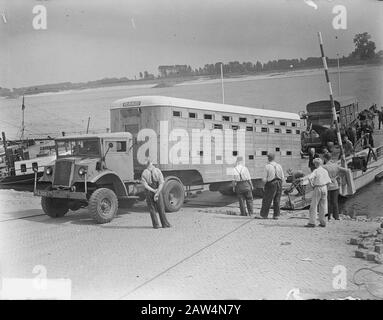 Carrozza A Cavalli Tielse Veer Data: 26 Agosto 1949 Luogo: Gelderland, Tiel Veerl Foto Stock