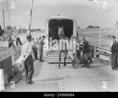 Carrozza A Cavalli Tielse Veer Data: 26 Agosto 1949 Luogo: Gelderland, Tiel Veerl Foto Stock