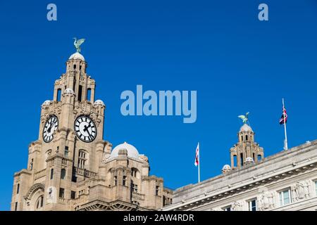 I due Liverbirds si siedono orgogliosamente sopra il famoso skyline di Liverpool. Foto Stock