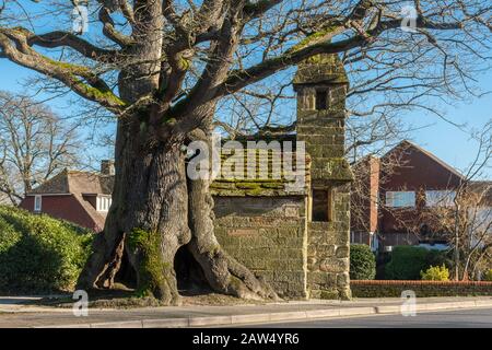 Lingfield Village a East Surrey, Regno Unito. La gabbia, un blocco villaggio, usato l'ultima volta nel 1882 per tenere un poacher, è stato costruito nel 1773. Foto Stock