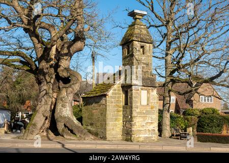 Lingfield Village a East Surrey, Regno Unito. La gabbia, un blocco villaggio, usato l'ultima volta nel 1882 per tenere un poacher, è stato costruito nel 1773. Foto Stock